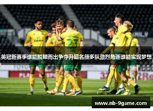 英冠新赛季谁能脱颖而出争夺升超名额多队激烈角逐谁能实现梦想 英冠新赛季谁能脱颖而出争夺升超名额多队激烈角逐谁能实现梦想