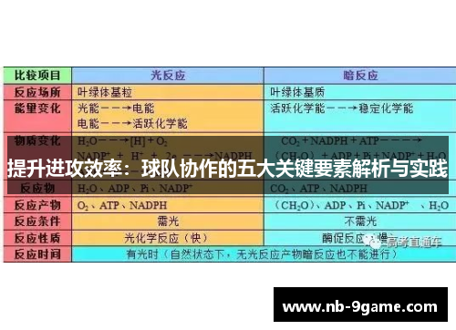 提升进攻效率:球队协作的五大关键要素解析与实践 提升进攻效率:球队协作的五大关键要素解析与实践