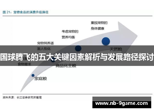 国球腾飞的五大关键因素解析与发展路径探讨