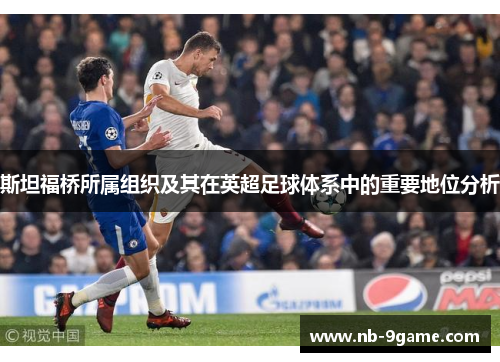 斯坦福桥所属组织及其在英超足球体系中的重要地位分析 斯坦福桥所属组织及其在英超足球体系中的重要地位分析